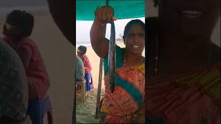 Pondicherry Auroville Beach Fish Fry Food [upl. by Groome388]