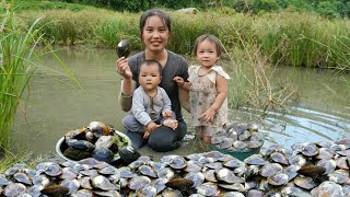 How to harvest giant oysters to sell at the market  cook oyster porridge for your children to eat [upl. by Dibri136]