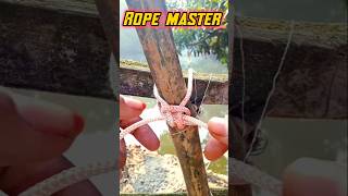 How to build a fence with rope very easily [upl. by Sualohcin]