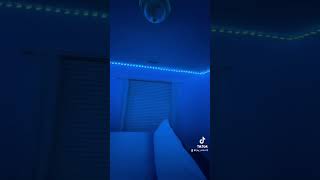 LED Lights in my bedroom  Room Tour [upl. by Shem273]