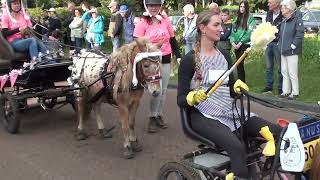 Eper Paardenvierdaagse 2024 intocht [upl. by Princess]