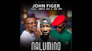 John Figer ft Jah Boy amp Under Gee  Nalumino Official Audio [upl. by Yve]