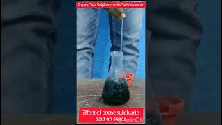 Effect on sugar of concnsulphuric acidpractical [upl. by Cristie726]