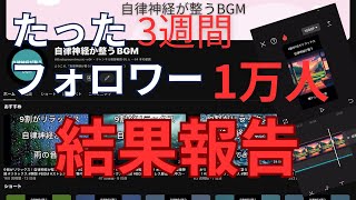 【検証結果 】初心者でも月10万は余裕か検証！ AI活用でバズる動画量産！「スキマ時間」「ノースキル」で収益化！【 自然音動画の作り方 】 [upl. by Larner778]