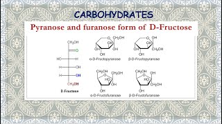 Pyranose and furanose form of DFructose [upl. by Bacchus186]