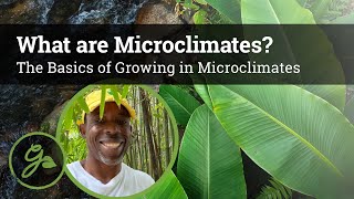 What Are Microclimates The Basics of Microclimates in Permaculture [upl. by Eliathan]