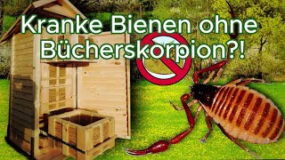 Kranke Bienen ohne Bücherskorpion Der Bücherskorpion zeigt dir dein Beutenklima auf [upl. by Emilee440]