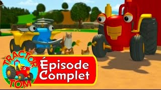 Tracteur Tom  52 Les Canards Sauvages épisode complet  Français [upl. by Lrig64]