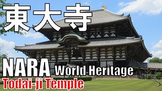 【奈良時代】東大寺 AD 728 Todai ji Temple [upl. by Ewald]