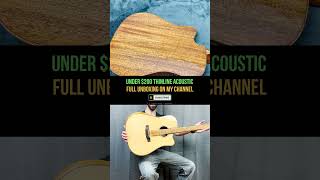 Under 200 Budget Thinline Acoustic Guitar [upl. by Pamela]