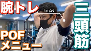 【筋トレ】腕トレ！POF法で三頭筋トレーニング [upl. by Lorollas99]