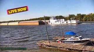 Mississippi River Cam Live Now in Newport MN  NTROTC  Mile Marker 8305 [upl. by Llyrpa]