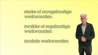 Grammatica niveau A2B1B2 sterke zwakke en modale werkwoorden [upl. by Anahsat]