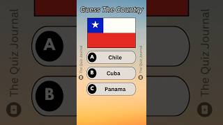 Can You Guess This Flag🌍 guesstheflag guessthecountry countryflags shorts shortsfeed viral [upl. by Ratha]