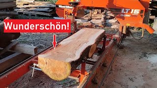 Zeder mit wahnsinnig schöner Optik auf der WoodMizer LT 15 WIDE [upl. by Ztirf479]