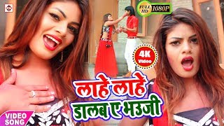 लाहे लाहे रंग डालब ए भउजी  Bhupendra Lal Yadav  Lahe Lahe Rang Dalab A Bhauji  Bhojpuri Holi Song [upl. by Lot496]