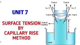 Surface tension by capillary rise method  Unit 7 Properties of matter  11 Physics Samacheer kalvi [upl. by Howell]