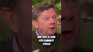 INTP Eckhart Tolle On How To Eliminate Stress  Sleep Saviour mbti eckharttolle intp [upl. by Areek]