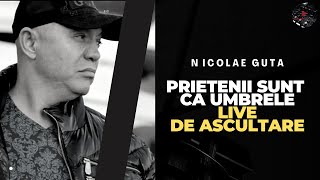 Nicolae Guta  Prietenii sunt ca umbrele  LIVE [upl. by Hgielanna821]