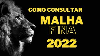 Como VERIFICAR se CAIU na MALHA FINA 2022 [upl. by Meelas]