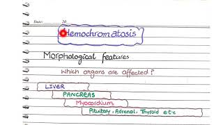 Hemochromatosis Pathology  Morphology [upl. by Kcirdla]