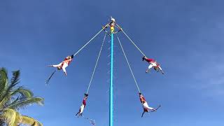 Papantla Flyers performing a Mayan rain ceremony [upl. by Alahcim]