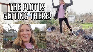 THE PLOT IS FINALLY GETTING THERE  ALLOTMENT GARDENING FOR BEGINNERS [upl. by Guy]