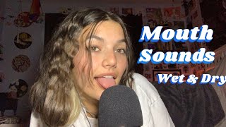 ASMR  Wet and Dry Mouth Sounds Fast and Aggressive Chaotic and Tingly [upl. by Casilda]