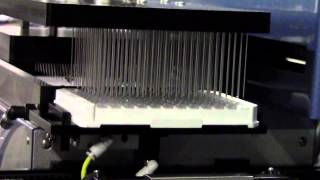 RapidWash Microplate Washer Close Up [upl. by Lam897]