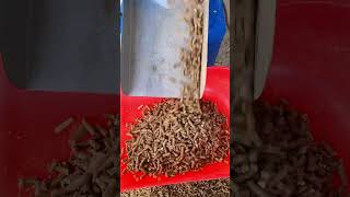 Electric poultry chicken feeds grass pellet making machine diesel cattle pelletizer machine [upl. by Sukul952]