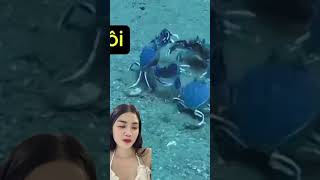 Crabs fighting 😅 [upl. by Hareehahs]