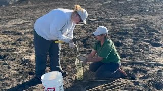 Inmates in Idaho work to restore sagebrush habitat following Plex Fire [upl. by Ardnwahsal256]