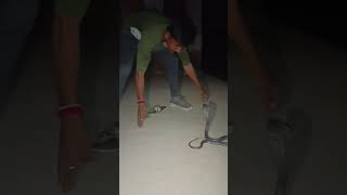 pushpa2therulesongs cobra snake rescue mroman09 [upl. by Ahtamat]