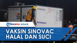 Komisi Fatwa MUI Nyatakan Vaksin Covid19 Sinovac Halal dan Suci setelah Gelar Rapat Tertutup [upl. by Lenroc]