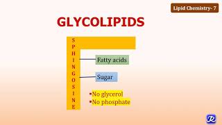 7 Glycolipids  Lipid Chemistry7  Biochemistry  NJOY Biochemistry [upl. by Ecnatsnok738]