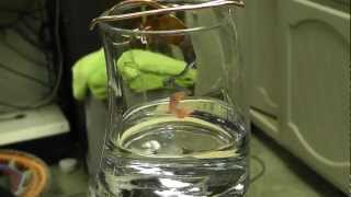 What Is A Catalyst Demo Of A Copper Catalyst amp Acetone [upl. by Jeanie]