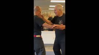 Mountaintop Martial Arts Grand Master Sparks Aiki Jutsu Self Defense [upl. by Granthem]