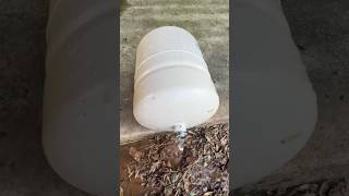 What happens when a water heater expansion tank fails plumbing [upl. by Cobby719]