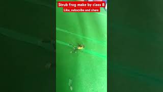 Project with strub strub frog 🐸 sciencefacts science scincetrick animals racingcar frog [upl. by Ylam]