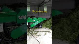 How to make silage with Taizy chaff cutter Silage cutting machine for preparation for silage baling [upl. by Amsed]