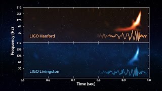 LIGO Gravitational Wave Chirp [upl. by Kensell]