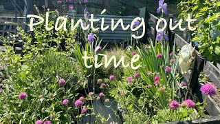 PLANTING OUT TIME ON THE ALLOTMENT [upl. by Akeem]