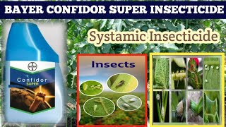 BAYER CONFIDOR SUPER INSECTICIDE  confidor super insecticide  imidacloprid 305 [upl. by Notyalk]