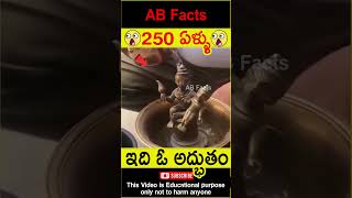 😳250 ఏళ్ళు😳 250 Years old lord Krishna idol telugufacts krishna shorts youtubeshorts abfacts [upl. by Aneekahs370]