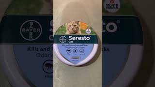 Seresto cat collar product review  is it worth it [upl. by Moor]