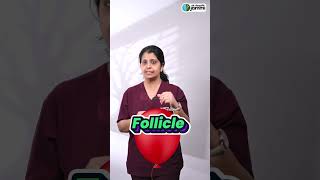 What Is Follicular study  ஃபோலிகுலர் Study என்றால் என்ன [upl. by Iridis173]