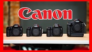 Which Canon DSLR Should You Buy 1D X 5D Mark III 6D 7D Mark II [upl. by Tacita]