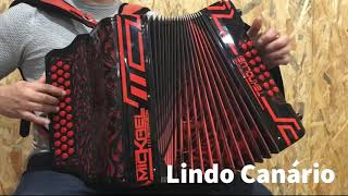 LINDO CANÁRIO  concertina instrumental [upl. by Corley]