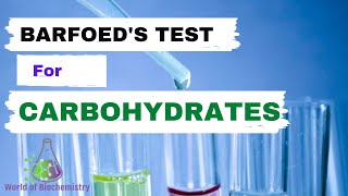 Barfoeds Test  General test for carbohydrates identification [upl. by Danby]