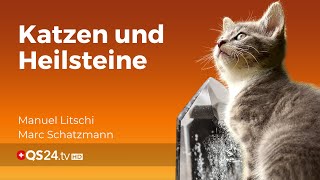 Katzenliebe und Fürsorge Die Rolle von Heilsteinen und artgerechter Fütterung  QS24 [upl. by Ana]